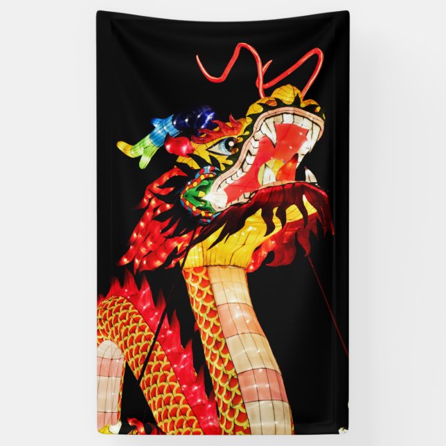 Banderoles Tianlong Dragon (Vertical)