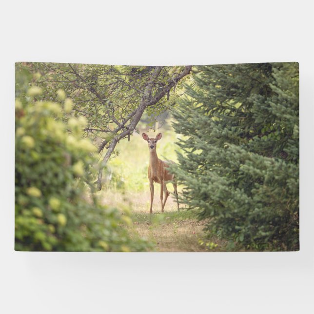 Banderoles Un cerf solitaire  (Horizontal)