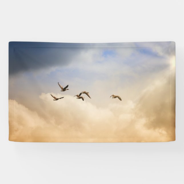 Banderoles Vols d'oiseaux (Horizontal)