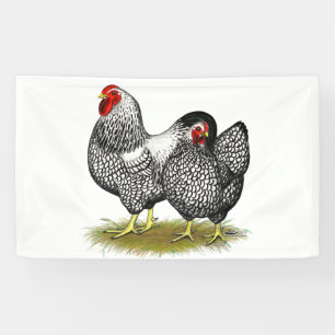 Banderoles Wyandotte : Paire d'argent