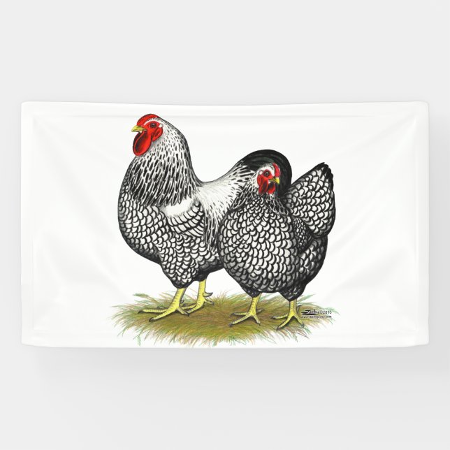 Banderoles Wyandotte : Paire d'argent (Horizontal)