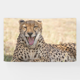 Banderoles Yawning Cheetah