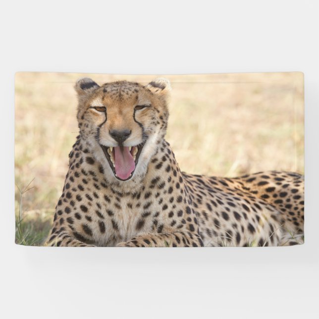 Banderoles Yawning Cheetah (Horizontal)
