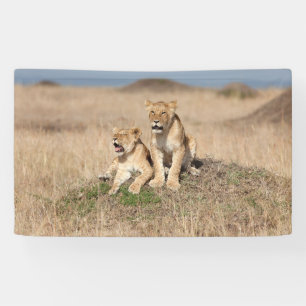 Banderoles Young lions