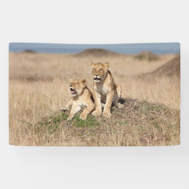 Banderoles Young lions (Horizontal)