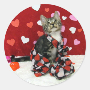Bandit the Cat - Stickers Saint Valentin les mieux