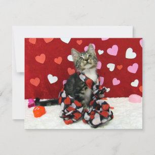 Bandit's Love Valentine - Chat / Kitten - Carte Pl