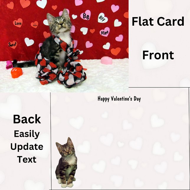 Bandit's The Cat's Valentine's Day Flat Card (Créateur téléchargé)