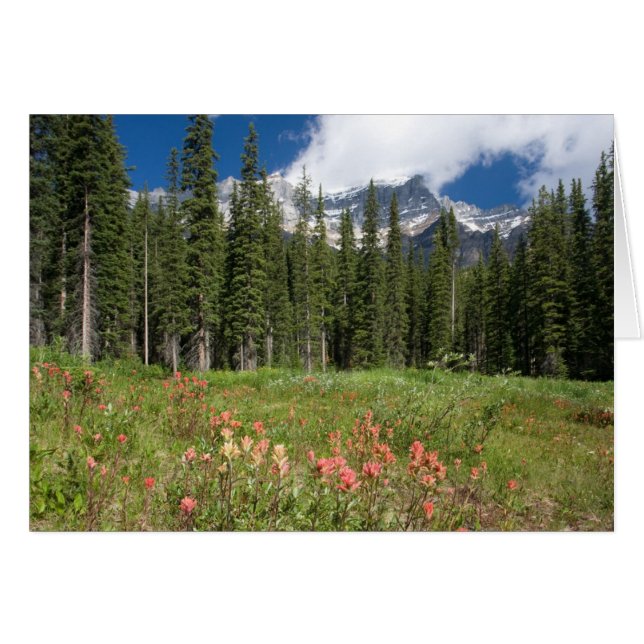 Banff Flowers Canada (Devant horizontal)