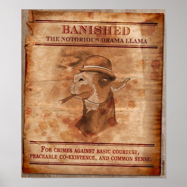 Banish Drama Llamas - Poster 12" x 14" (Devant)