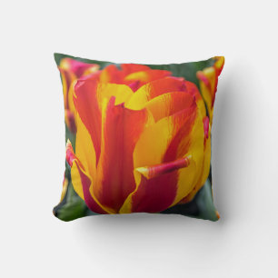 Banja Luka tulipes jeter coussin