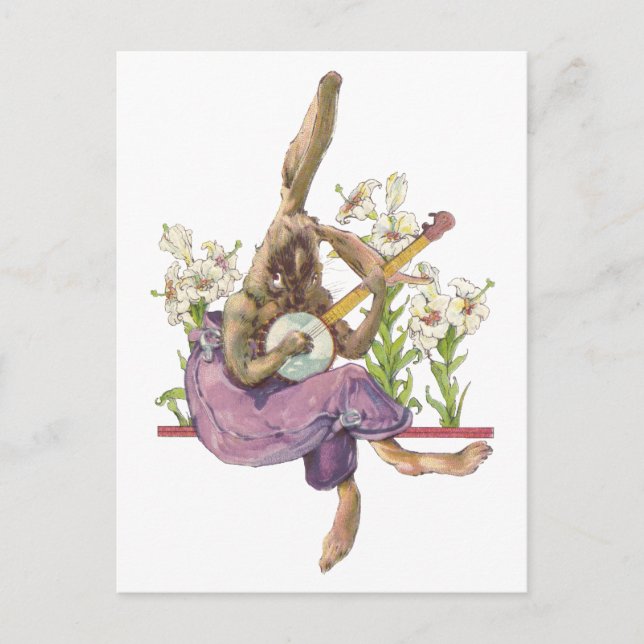 Banjo Jouer Carte Postale Bunny (Devant)