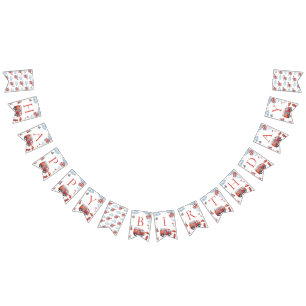 BANNIÈRE À FANIONS 