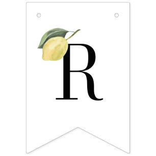 BANNIÈRE À FANIONS 