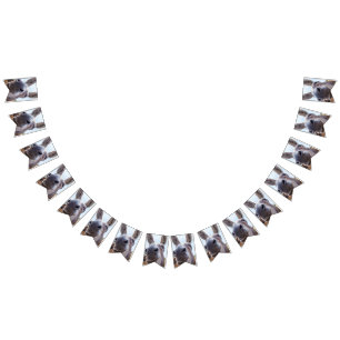 Bannière À Fanions Âne souriant gris comique