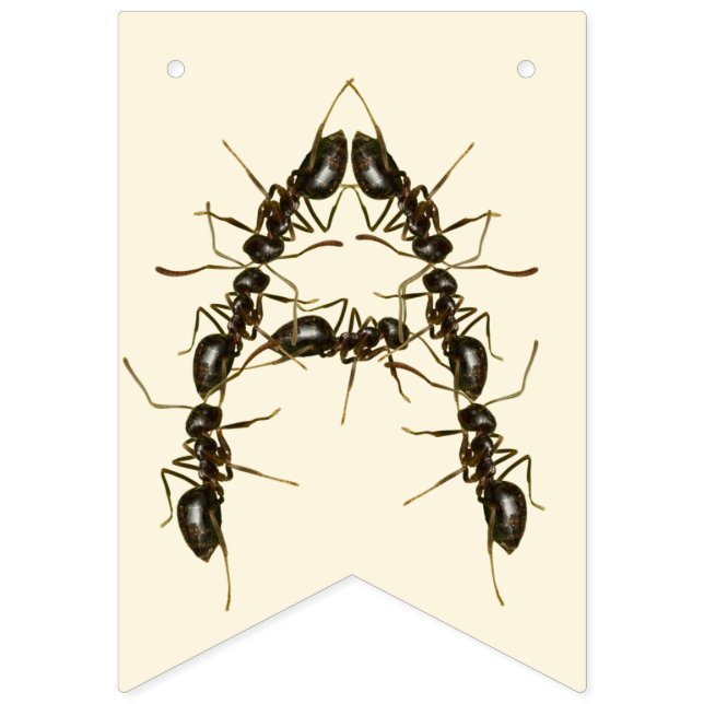 Bannière À Fanions Anniversaire des insectes - Anniversaire des insec (Troisième drapeau)