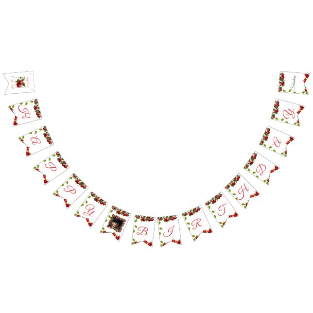 Bannière À Fanions Apple of Our Eye Photo Happy Birthday Banner (Tout)