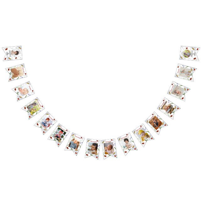 Bannière À Fanions Aquarelle magique mignonne 1er anniversaire Ladybu (Tout)