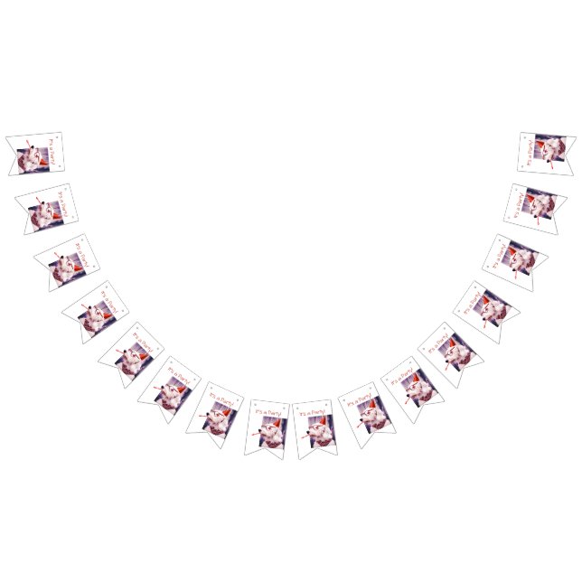 Bannière À Fanions C'est un chien de fête qui fête (Tout)