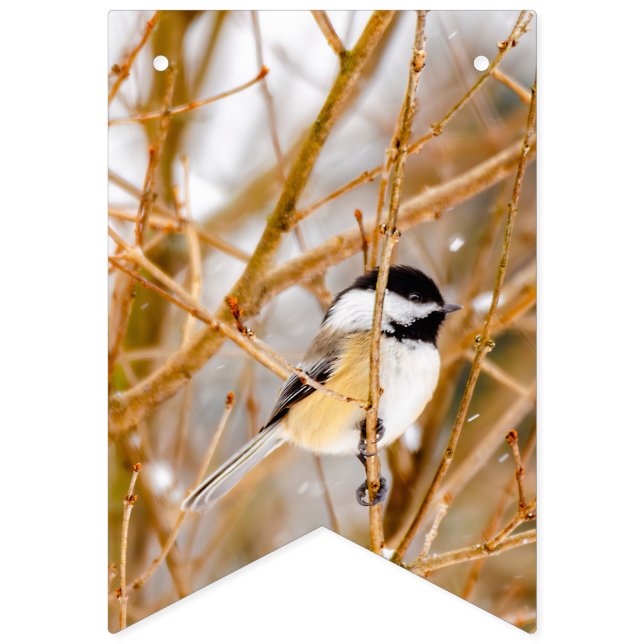 Bannière À Fanions Chickadee au plafond noir - Photo originale (Premier drapeau)