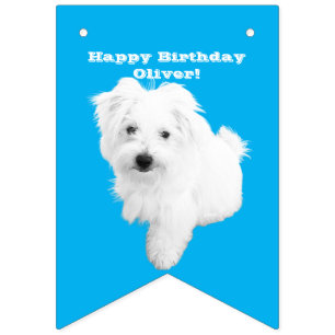 Bannière À Fanions Chien chiot maltais le plus mignon