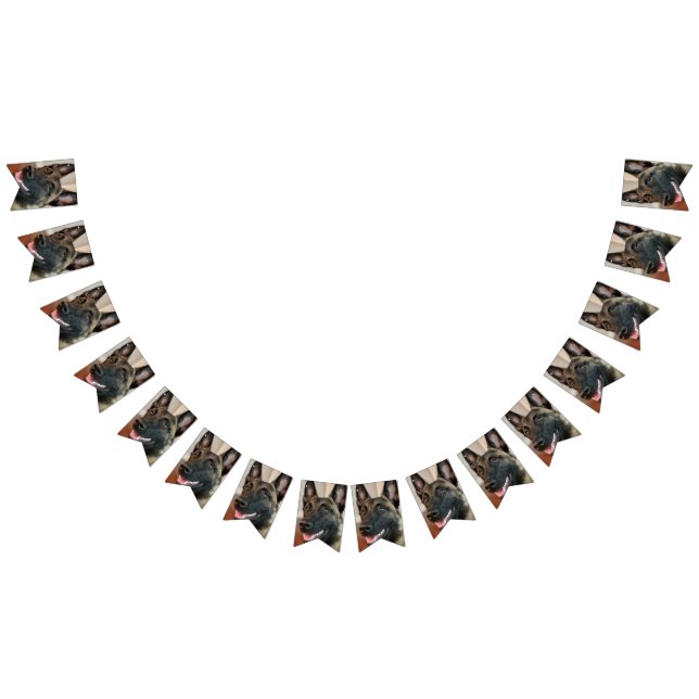 Bannière À Fanions Chien malinois (Tout)