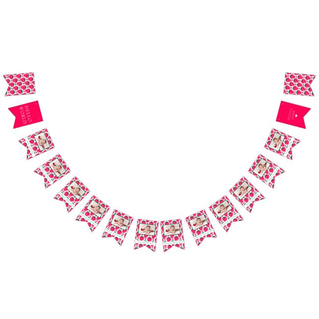 Bannière À Fanions Fraise Fille 1er anniversaire Jalons Photos  (Tout)