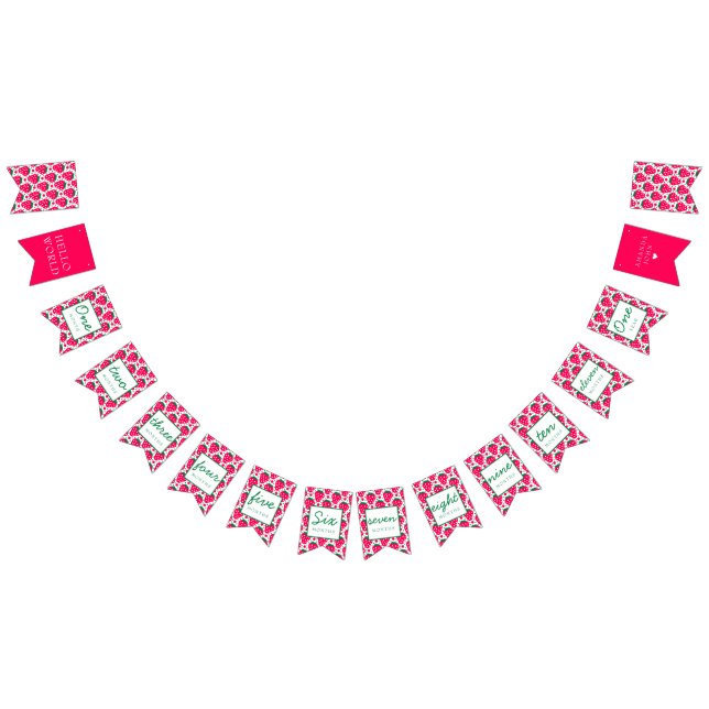 Bannière À Fanions Fraise Girl Berry 1er Anniversaire Jalons (Tout)