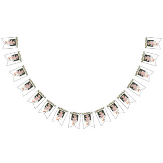 Bannière À Fanions Hiver Onderland Anniversaire Mois Photo