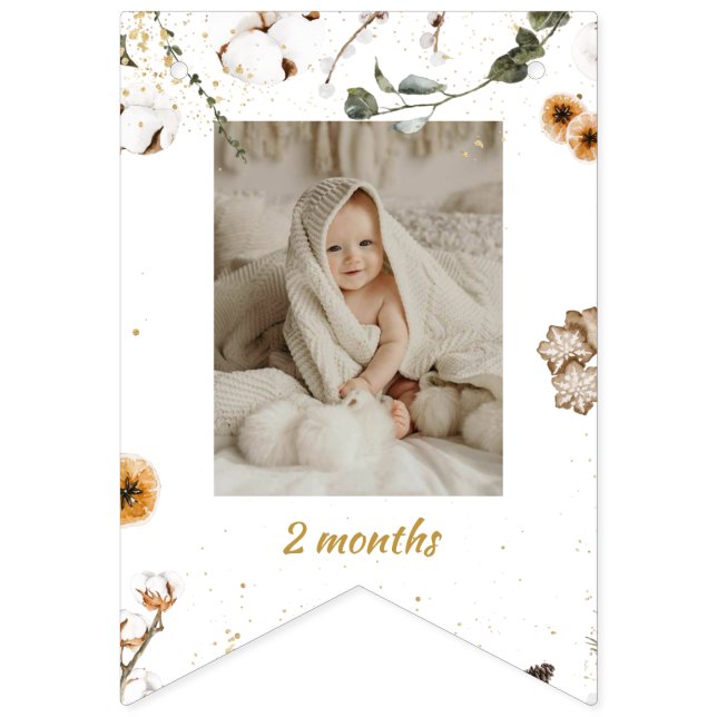 Bannière À Fanions Hiver Onderland Anniversaire Mois Photo (Troisième drapeau)