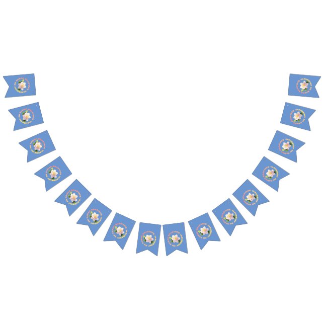 Bannière À Fanions Lord Krishna (Tout)