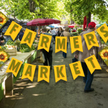 Marché des producteurs de tournesols