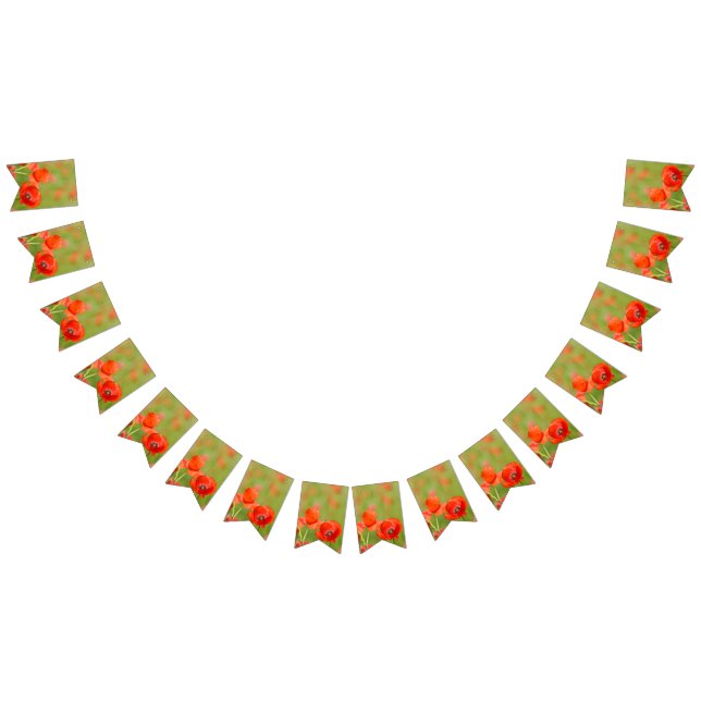 Bannière À Fanions Pavots vibrants dans un domaine de pavot (Tout)