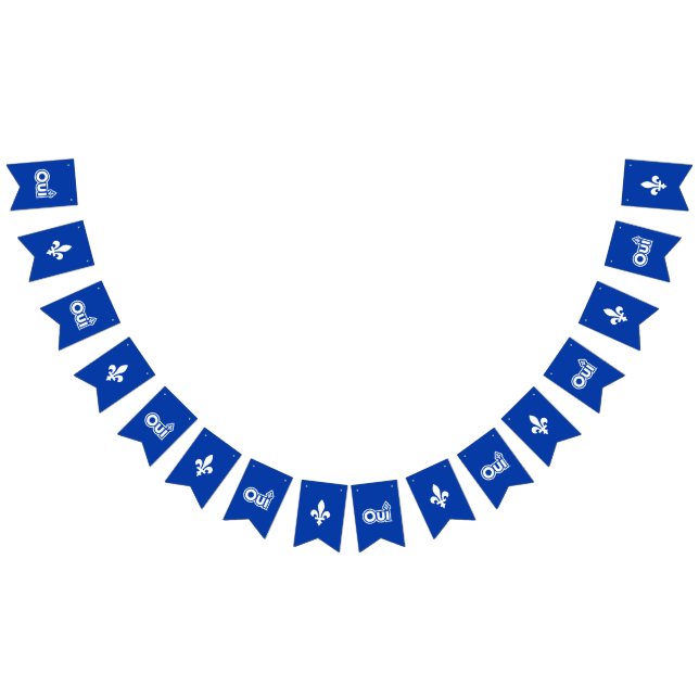 BANNIÈRE À FANIONS QUEBEC OUI (Tout)