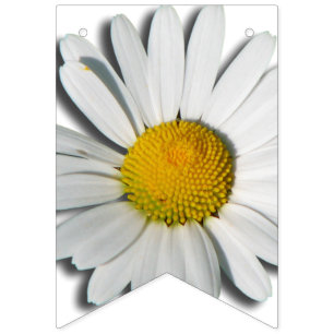 Bannière À Fanions Seulement une Marguerite Blossom + votre backgr. &