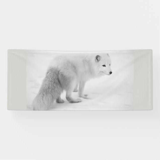 Bannière BLANC ARTIQUE FOX 2,5 X 6 (Horizontal)