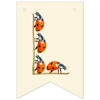 Bannière d'anniversaire de notre Log Bug Ladybug