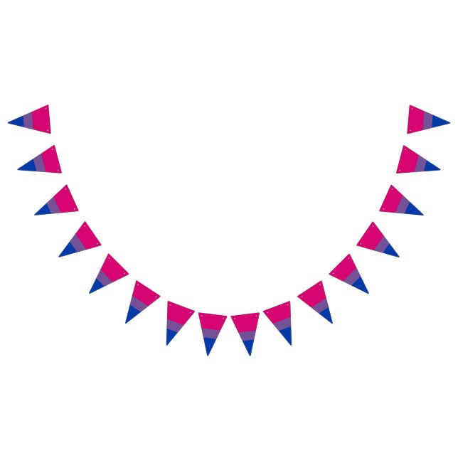 Bannière de drapeau de fierté bisexuelle Bunting D (Tout)