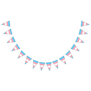 Bannière de drapeau de fierté de transsexuel