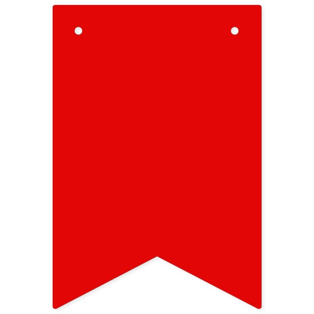 Bannière de fanions de fierté gay et trans (Seizième drapeau)