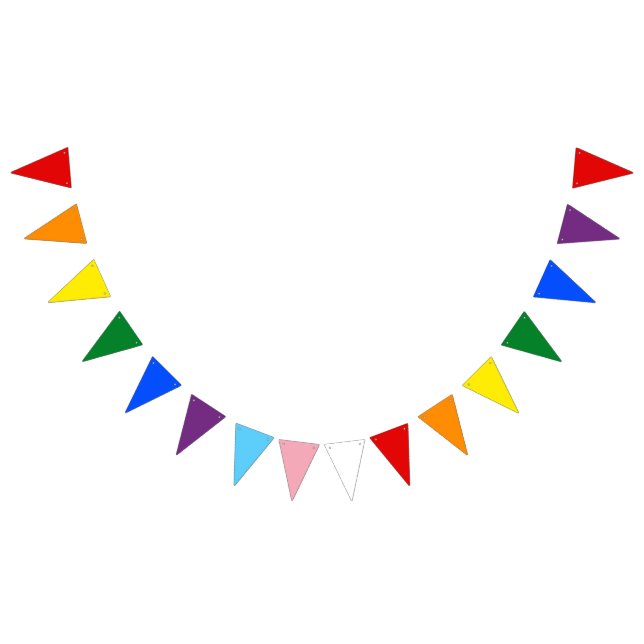 Bannière de fanions de fierté gay et trans (Tout)