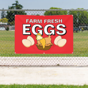Bannière de poulet de la ferme OEufs frais