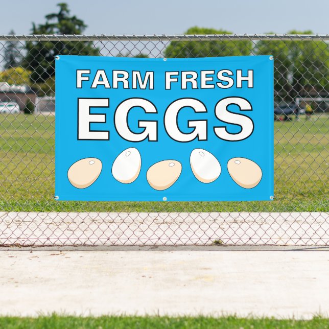 Bannière d'oeufs frais de ferme (Insitu)