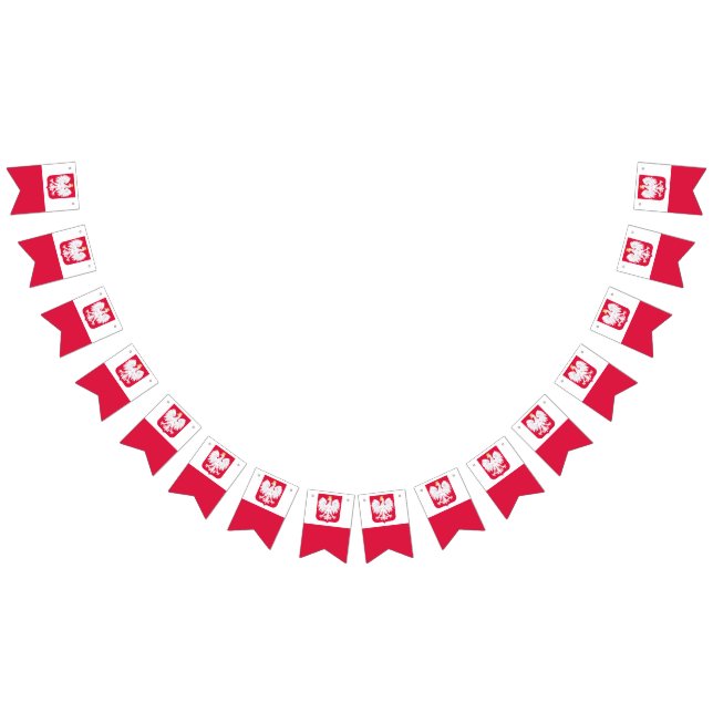 Bannière drapeau polonais (Tout)