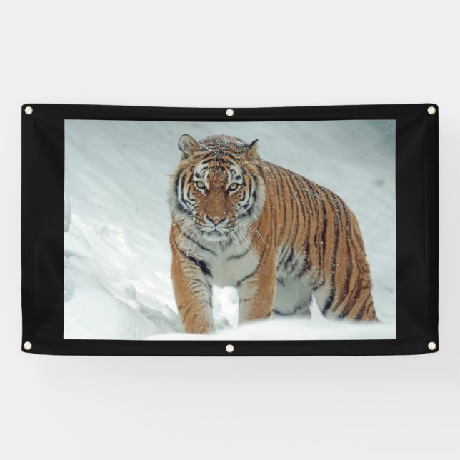 Bannière du TIGER EN COLÈRE (Horizontal)