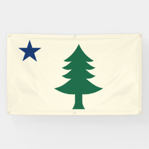 Bannière extérieure du drapeau du Maine 1901