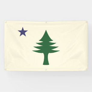 Bannière extérieure du drapeau du Maine 1901