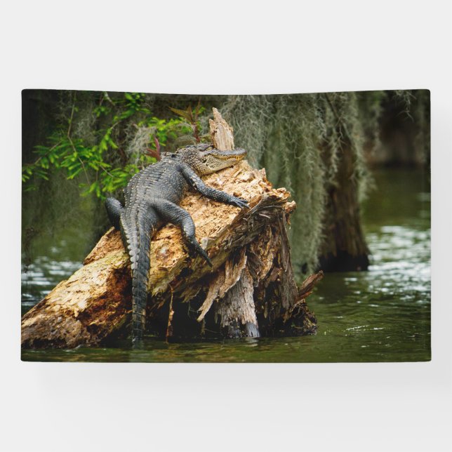 Bannière Lazy Gator 4x6' (Horizontal)