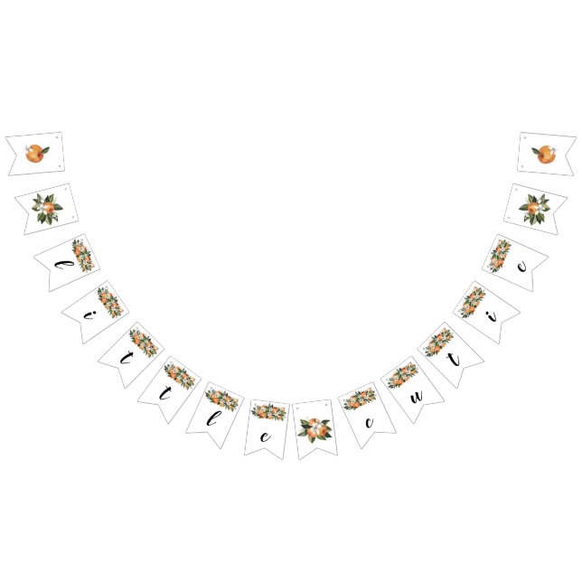 Bannière Little Cutie Little Cutie Baby shower Ban (Tout)