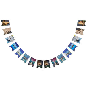 Bannière Orca Bunting